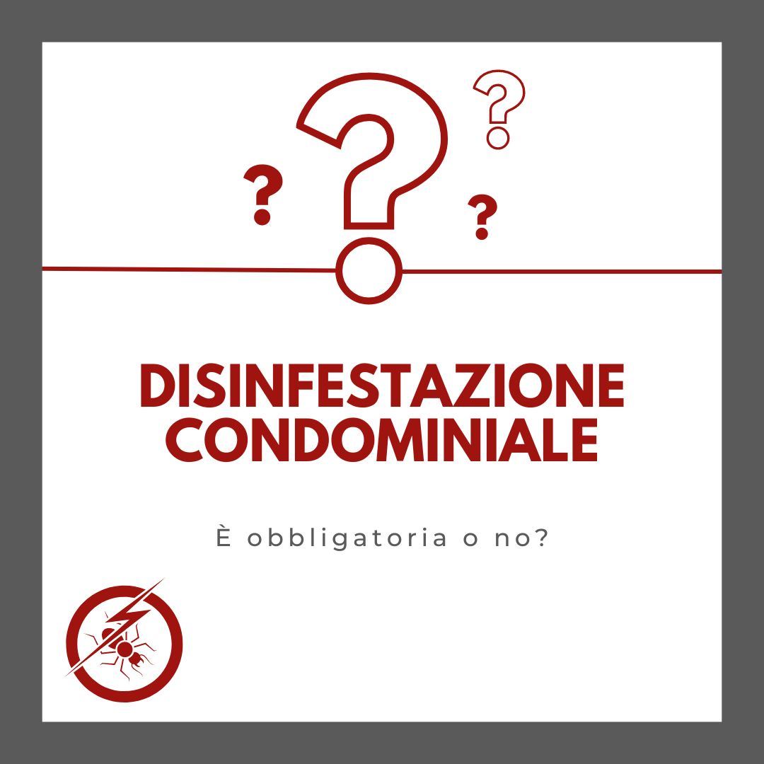 disinfestazione condominiale